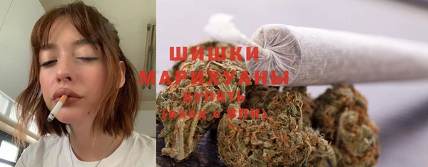 ГАЛЛЮЦИНОГЕННЫЕ ГРИБЫ Белоозёрский