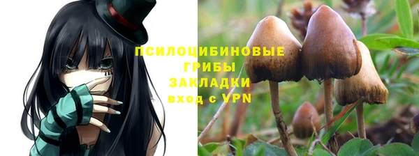 Альфа ПВП Беломорск