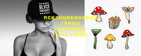 стаф Саяногорск