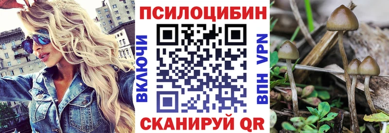 Галлюциногенные грибы Psilocybe  Ковдор 